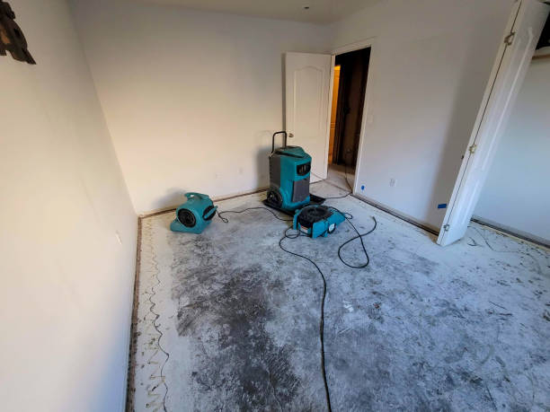 Best Ceiling water damage repair  in Llano Grande, TX