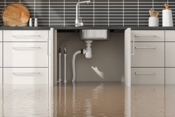 Best Commercial water damage restoration  in Llano Grande, TX