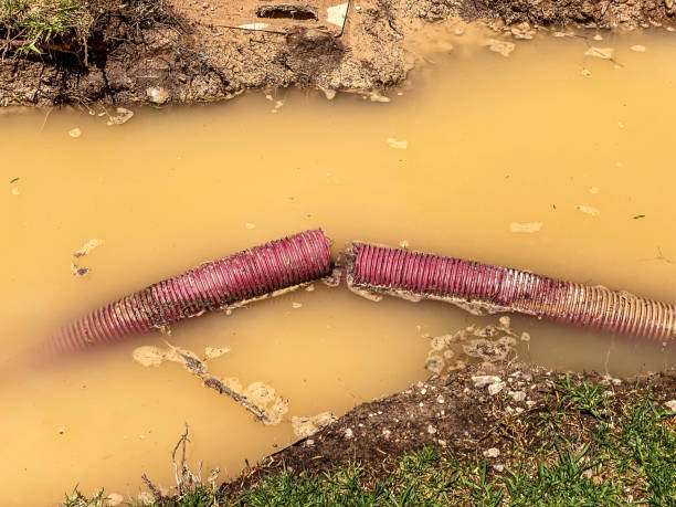Best Sewage cleanup and water damage restoration  in Llano Grande, TX